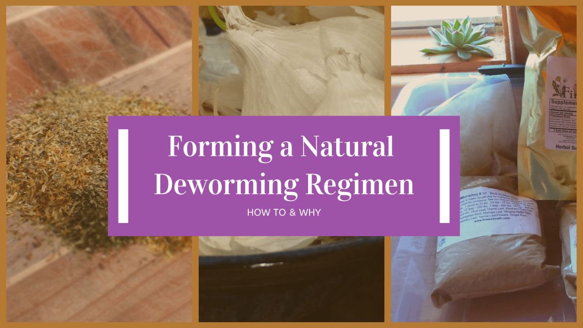 Forming a Comprehensive Natural Deworming Regimen: Integrated Parasite&nbsp;Management