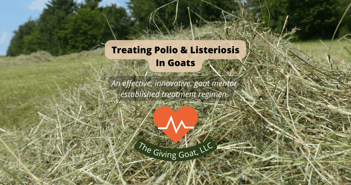 Treating Polio & Listeriosis in&nbsp;Goats