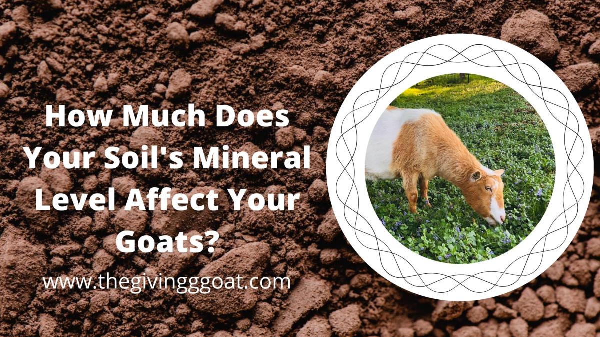 How Much Does Your Soil’s Mineral Level Affect Your&nbsp;Goats?