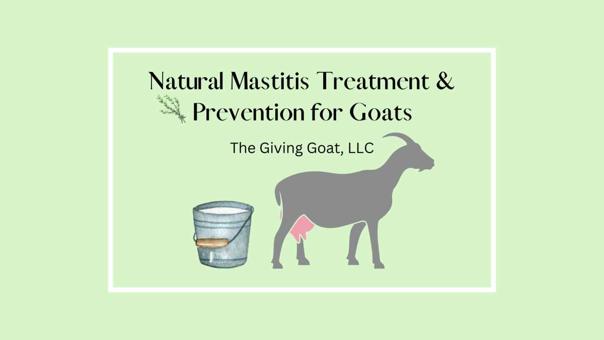 Natural Mastitis Treatment & Prevention For&nbsp;Goats