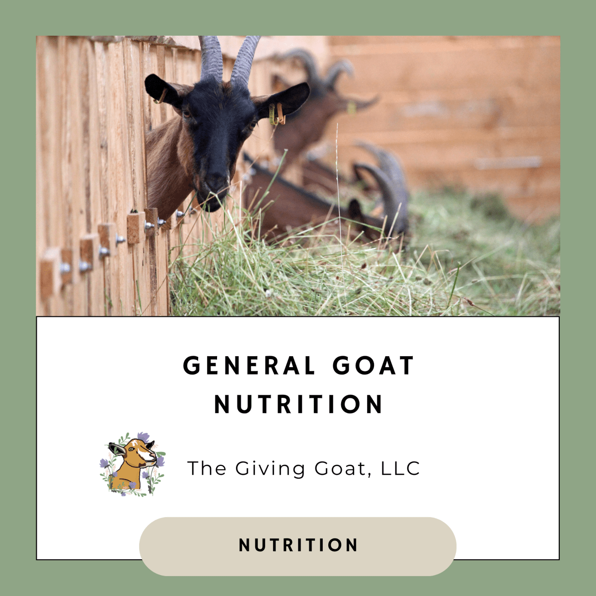 General Goat Nutrition
