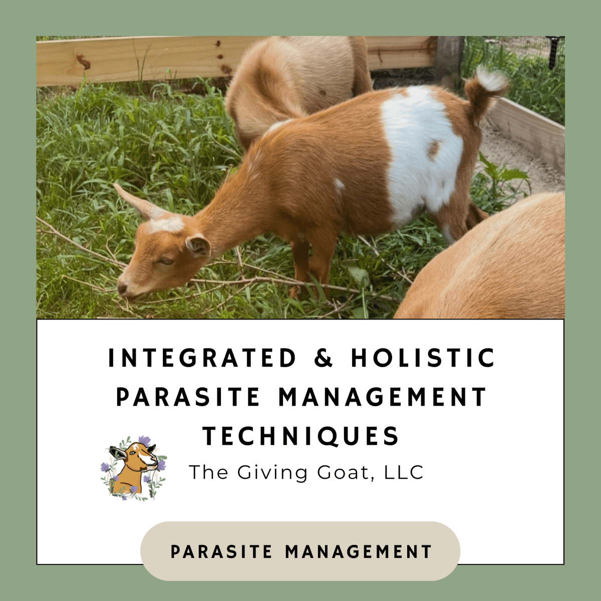 Integrated and Holistic Parasite Management&nbsp;Techniques