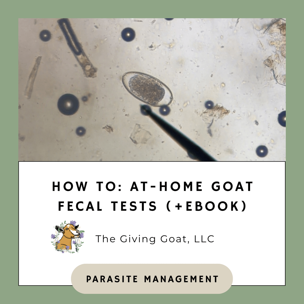 HOW TO: At-Home Goat Fecal Tests&nbsp;(+eBook)